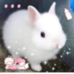 ☆彡