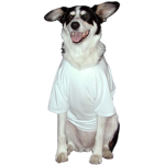 Wolf's T-Shirts