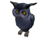 The Owls Community