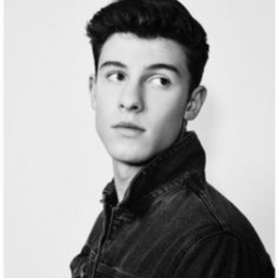 #Shawnmendes's Place Number: #