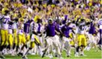 Fans of LSU