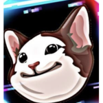 Pop cat clothes and other