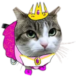 Princess Wawa
