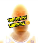 The Memes Clothes Group
