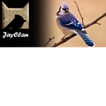 Warrior cats: Jayclan