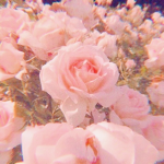*~sɪʟᴇɴᴛ~ʜᴏᴍᴇsᴛᴏʀᴇ~*