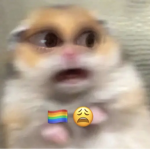 Hamster_XO123
