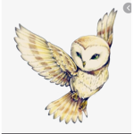 Optimistic._.Owl’s
