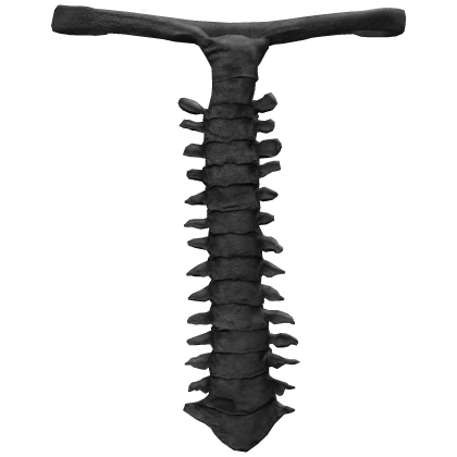 Black Skeleton Tie