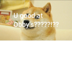 Being pro obby