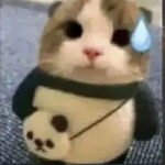 Starb0yy