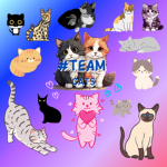 #Team Catz