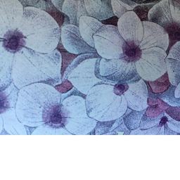 Pretty Blue Flower Gymnastics