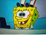 The SpongeBob SquarePants fanclub!