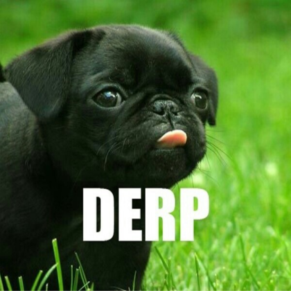 derp dog Roblox decal