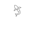 Shark Continent