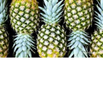 The Pineapples!!!