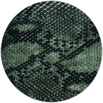 Snake Skin 3