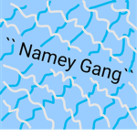 Namey Gang