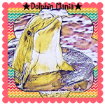 Dolphin Mania Fan Club