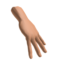 Giant hands admin,ragdoll and more