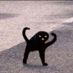 Sehr Asthetic Group Thumbnail
