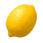 The LEMON Family!