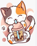 The cats and boba