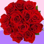 Rosebud studios!