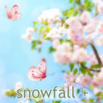 snowfall +