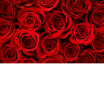 llRedRosell