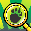 Encuentra las Tortugas