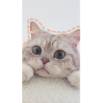 Amo los gatos OwO I love cats unanse pls