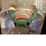 café de frog