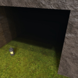 The cave