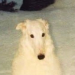 The Dreg