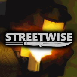 🚔 [TESTING] Streetwise icon