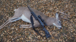 Crystal Lake Hunting District
