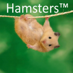 Hamsters™