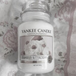 🩰˚˖ 🦢✧˚.🎀