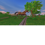 Sky Blue Riding Stables