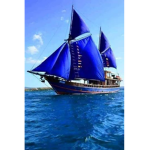 The Blue Sail Bullets