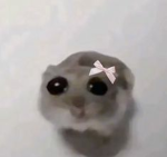 RATZZZZZZZZZ (ur a rat)