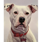 ~Pitbull Army~