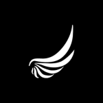 Noir Virtual Airlines