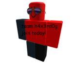 Team haxerd0g