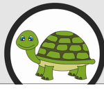 #Team turtleee