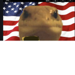 ThA LizardZ Fan GroUp
