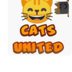 Cats_UnitedHD