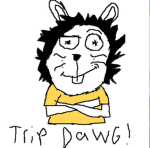 maxwell the cat club